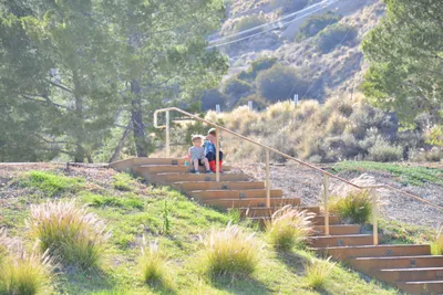 DSC_7492 (Large).JPG